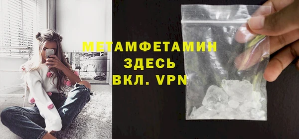 прущие грибы Вязники