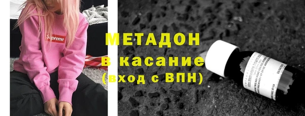 прущие грибы Вязники