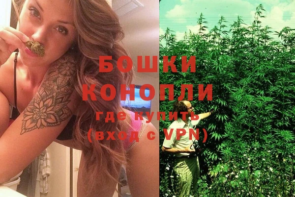 прущие грибы Вязники