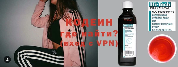 прущие грибы Вязники