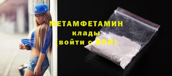 прущие грибы Вязники
