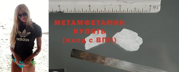 прущие грибы Вязники