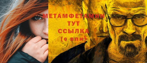 прущие грибы Вязники