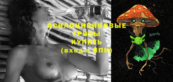 меф Вяземский