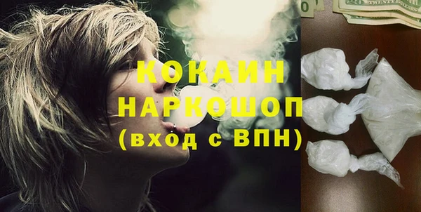 прущие грибы Вязники