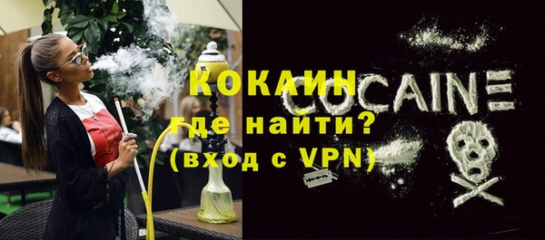 прущие грибы Вязники