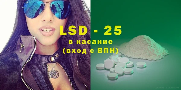 прущие грибы Вязники