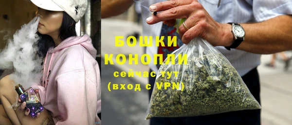 прущие грибы Вязники