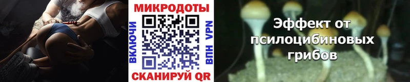 что такое   OMG вход  Галлюциногенные грибы мицелий  Похвистнево 